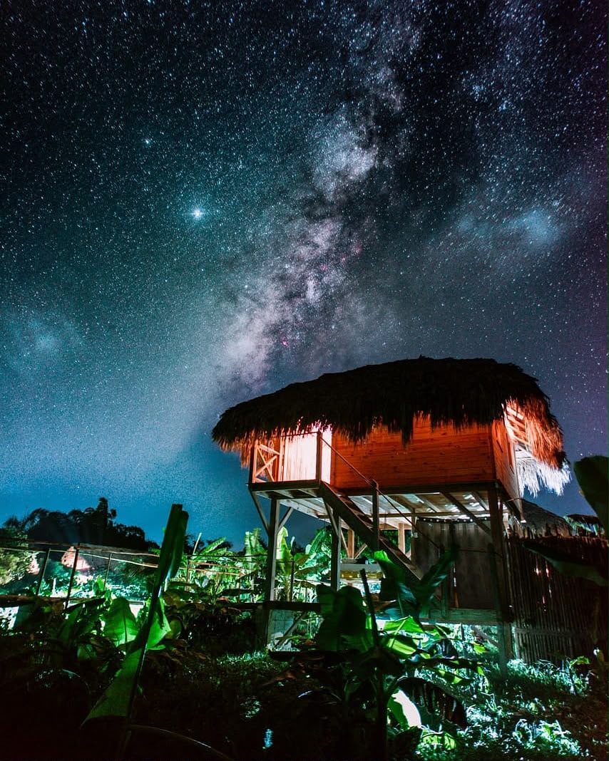 Glowing thatched-roof treehouse cabin on stilts beneath the Milky Way galaxy