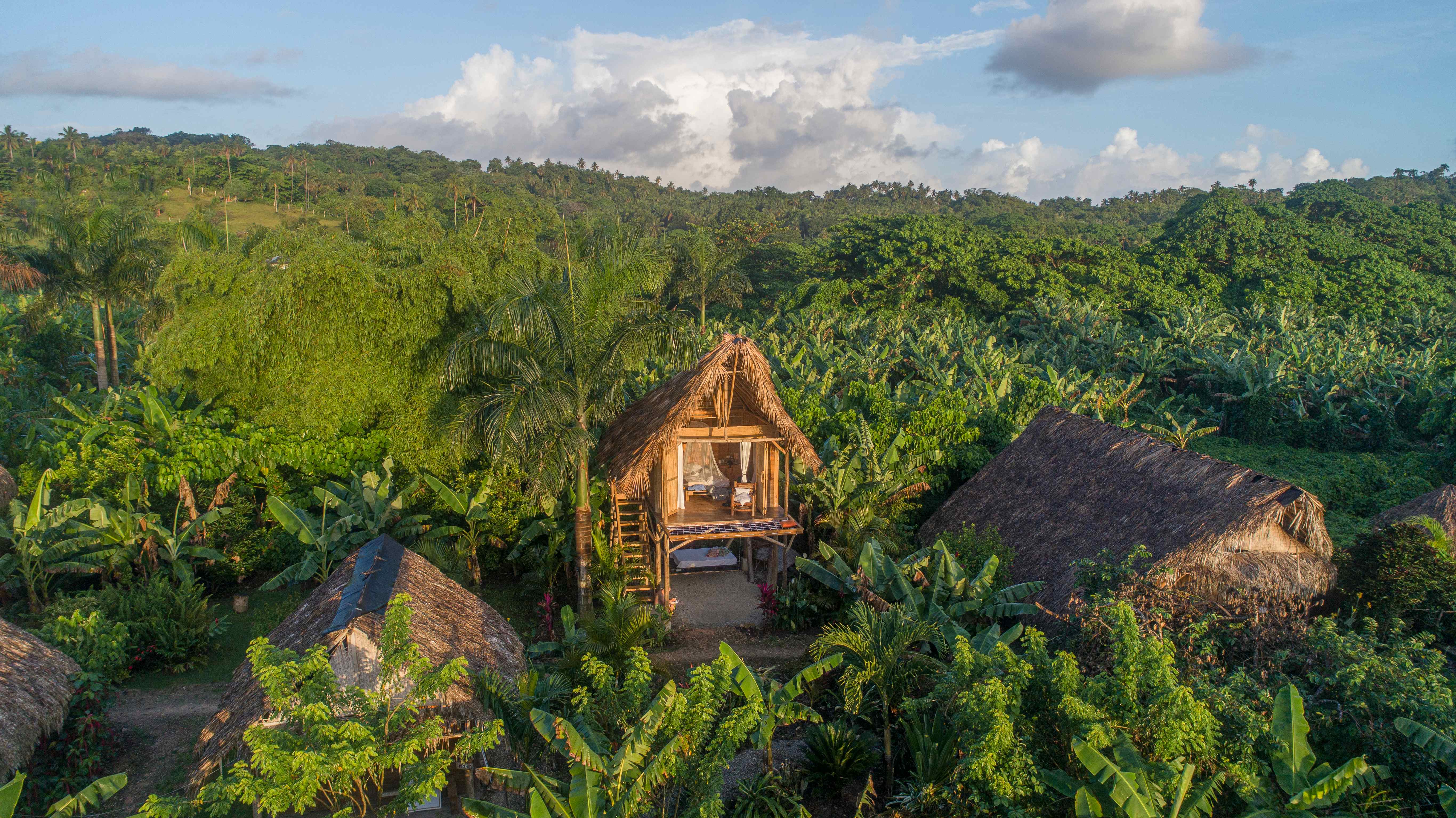 Aerial view of a thatched-roof treehouse cabin nestled in lush rainforest